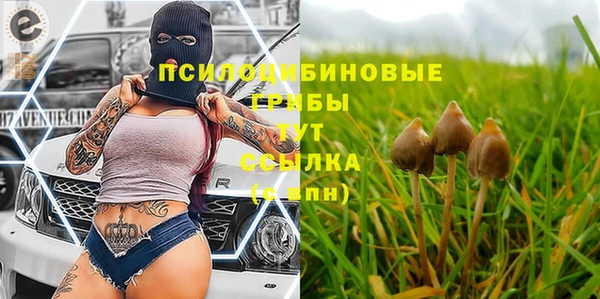 твердый Алексеевка