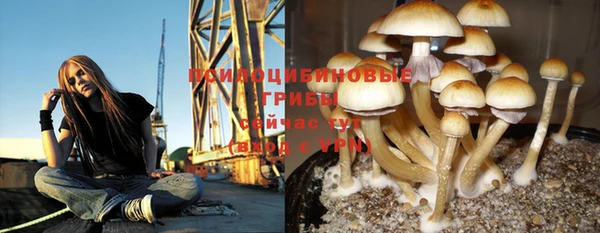 твердый Алексеевка